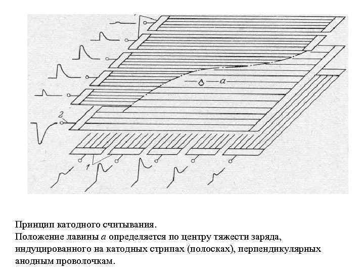 Принцип катодного считывания. Положение лавины а определяется по центру тяжести заряда, индуцированного на катодных