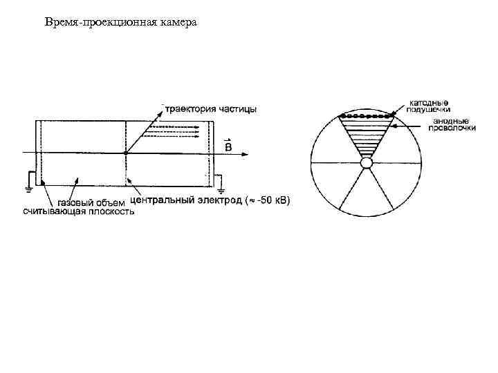 Время-проекционная камера 