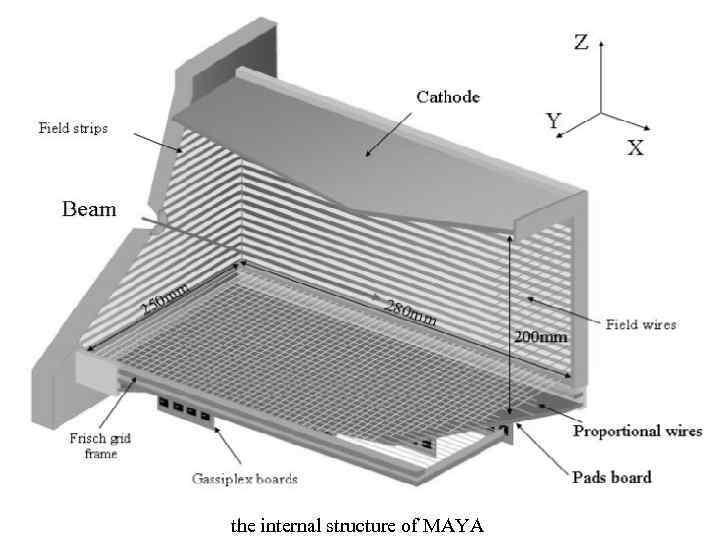 the internal structure of MAYA 