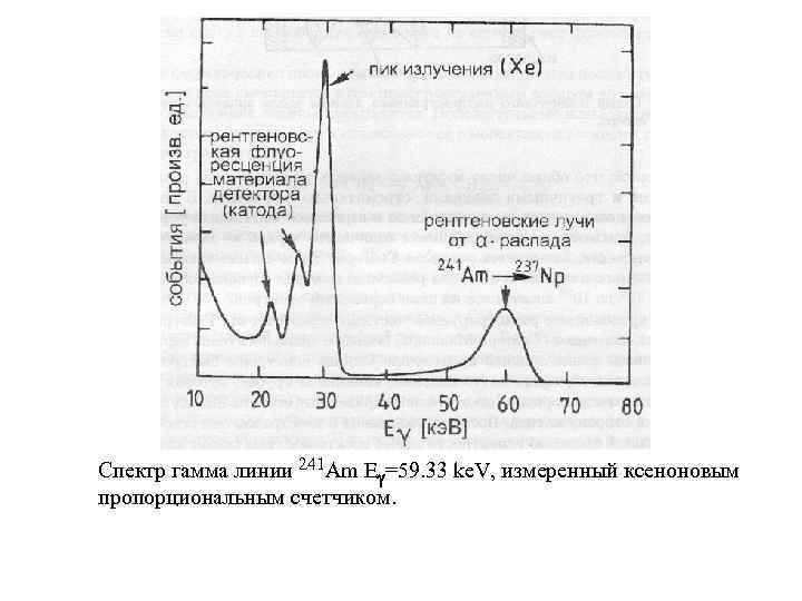 Спектр гамма линии 241 Am Eg=59. 33 ke. V, измеренный ксеноновым пропорциональным счетчиком. 