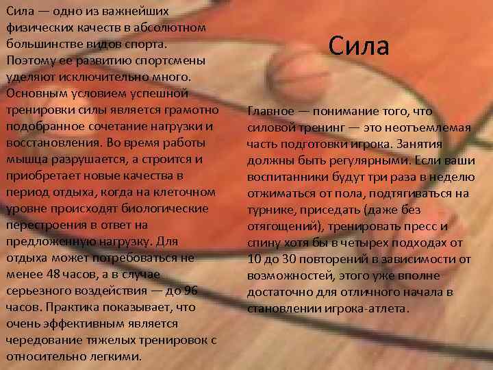 Сила — одно из важнейших физических качеств в абсолютном большинстве видов спорта. Поэтому ее