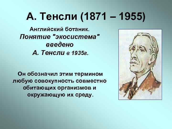 А. Тенсли (1871 – 1955) Английский ботаник. Понятие 