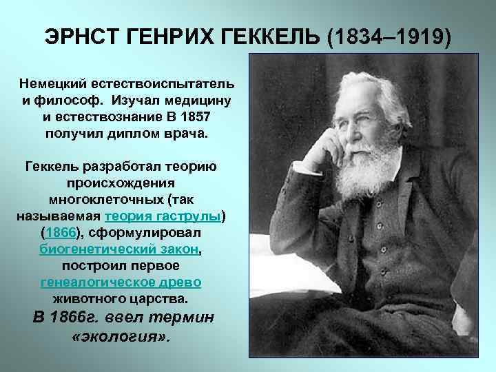 ЭРНСТ ГЕНРИХ ГЕККЕЛЬ (1834– 1919) Немецкий естествоиспытатель и философ. Изучал медицину и естествознание В