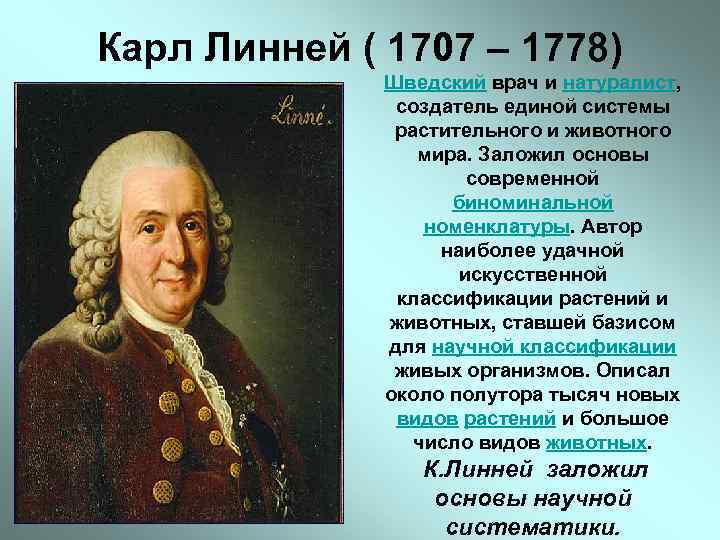 Карл Линней ( 1707 – 1778) Шведский врач и натуралист, создатель единой системы растительного