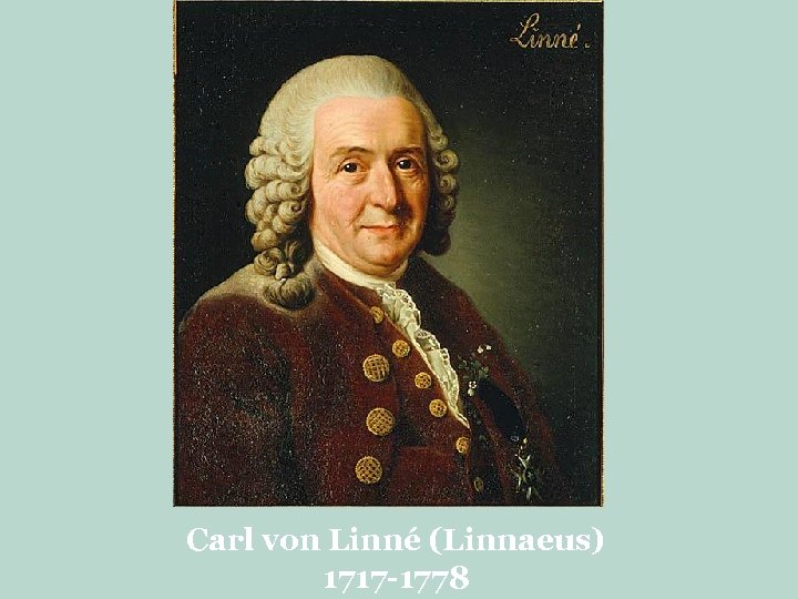 Carl von Linné (Linnaeus) 1717 -1778 