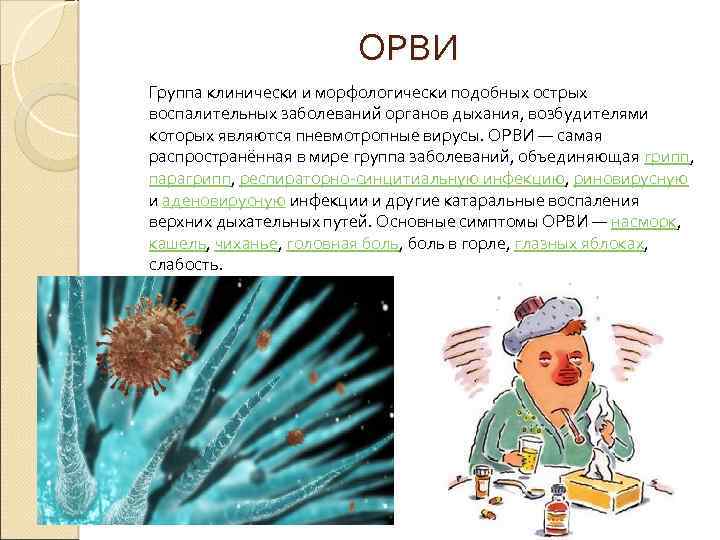 ОРВИ Группа клинически и морфологически подобных острых воспалительных заболеваний органов дыхания, возбудителями которых являются