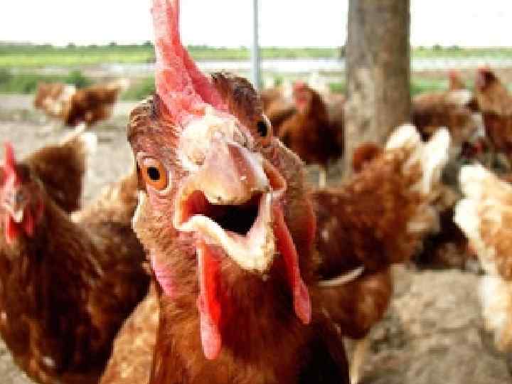 Етап 2 В будь-якому спорті для досягнення результатів потрібно слідкувати за своїм харчуванням… 