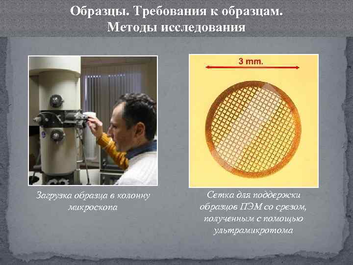 Образцы. Требования к образцам. Методы исследования Загрузка образца в колонну микроскопа Сетка для поддержки