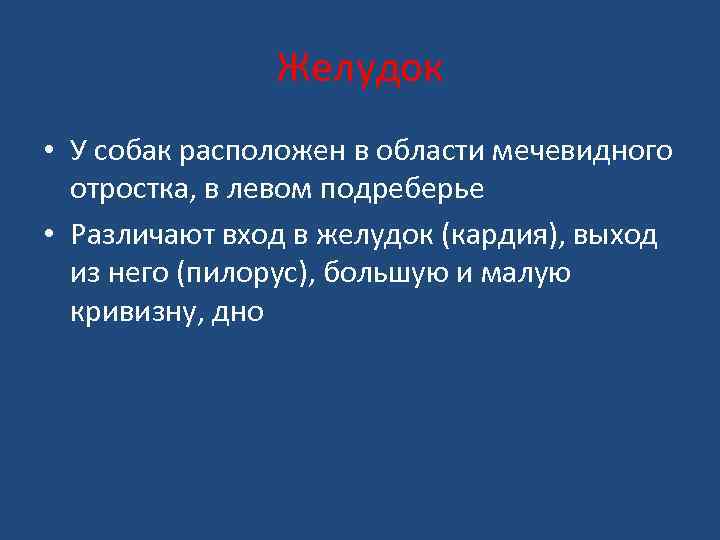 Желудок • У собак расположен в области мечевидного отростка, в левом подреберье • Различают