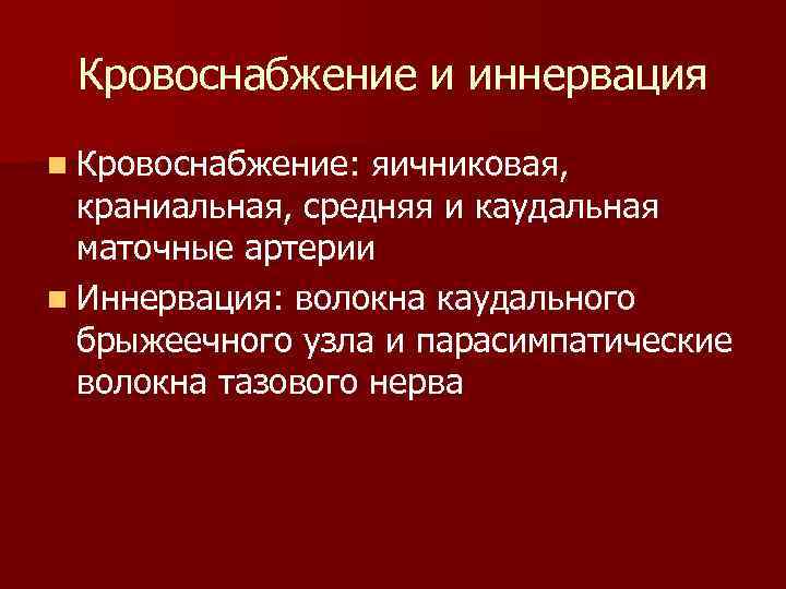 Кровоснабжение и иннервация n Кровоснабжение: яичниковая, краниальная, средняя и каудальная маточные артерии n Иннервация: