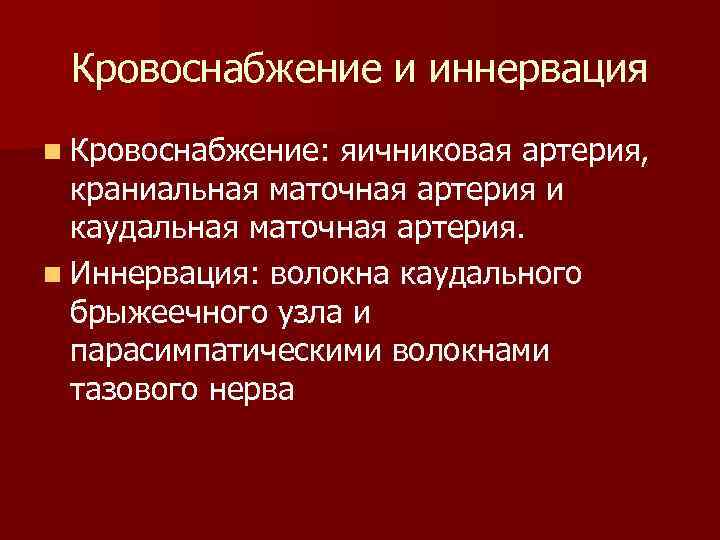 Кровоснабжение и иннервация n Кровоснабжение: яичниковая артерия, краниальная маточная артерия и каудальная маточная артерия.