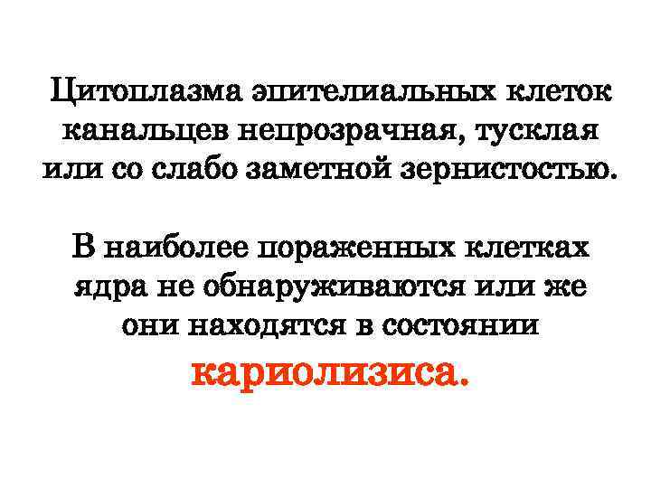 Цитоплазма эпителиальных клеток канальцев непрозрачная, тусклая или со слабо заметной зернистостью. В наиболее пораженных