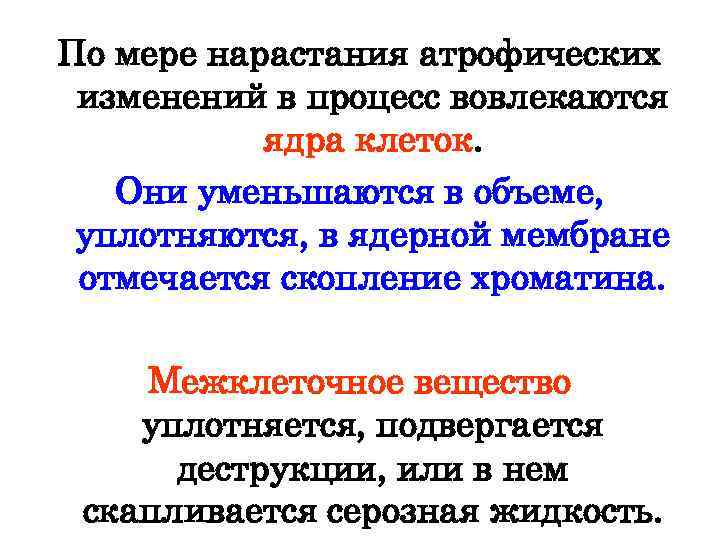 По мере нарастания атрофических изменений в процесс вовлекаются ядра клеток. Они уменьшаются в объеме,