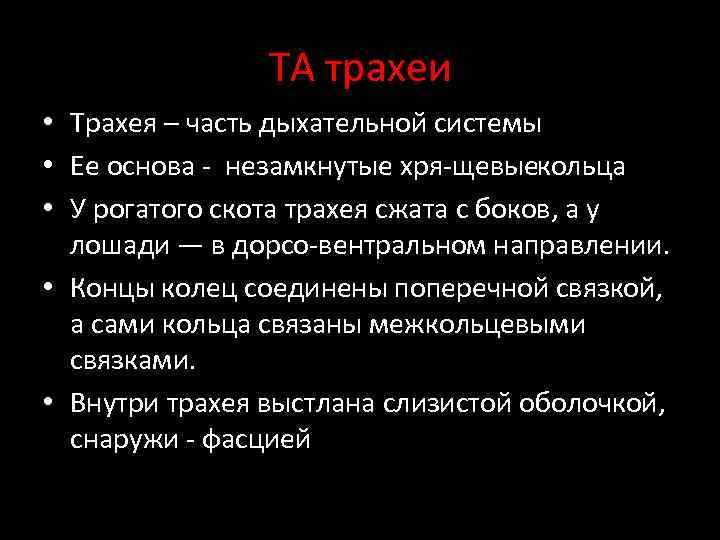 ТА трахеи • Трахея – часть дыхательной системы • Ее основа незамкнутые хря щевые