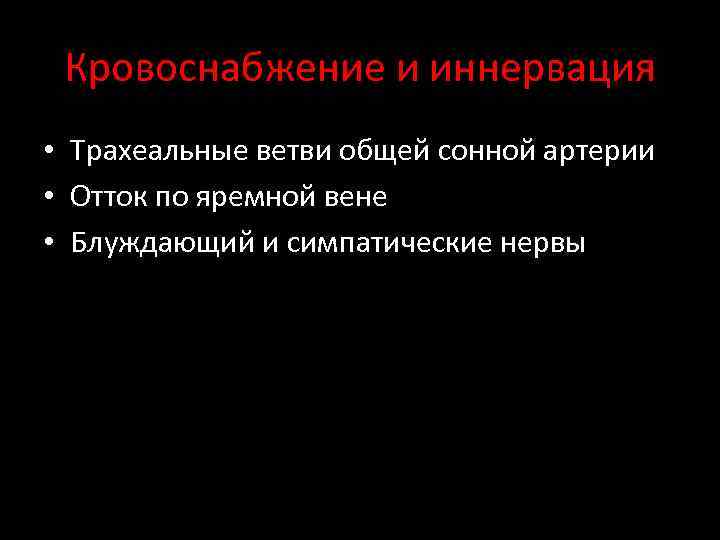 Кровоснабжение и иннервация • Трахеальные ветви общей сонной артерии • Отток по яремной вене