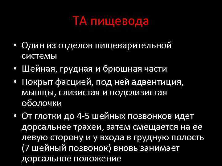 ТА пищевода • Один из отделов пищеварительной системы • Шейная, грудная и брюшная части