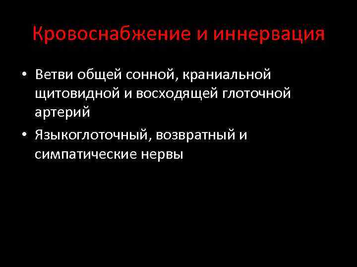 Кровоснабжение и иннервация • Ветви общей сонной, краниальной щитовидной и восходящей глоточной артерий •