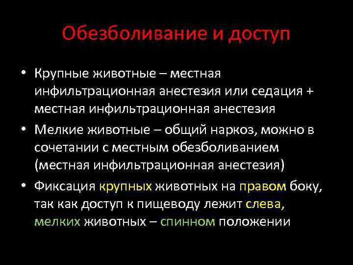 Обезболивание и доступ • Крупные животные – местная инфильтрационная анестезия или седация + местная