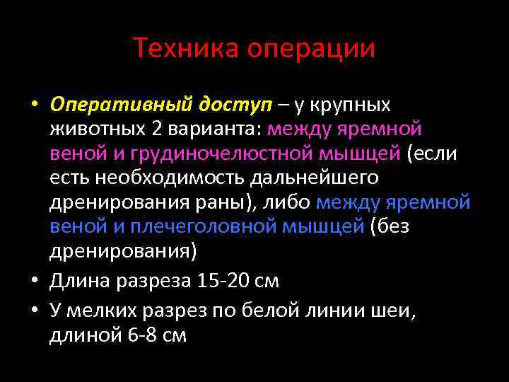 Техника операции • Оперативный доступ – у крупных животных 2 варианта: между яремной веной