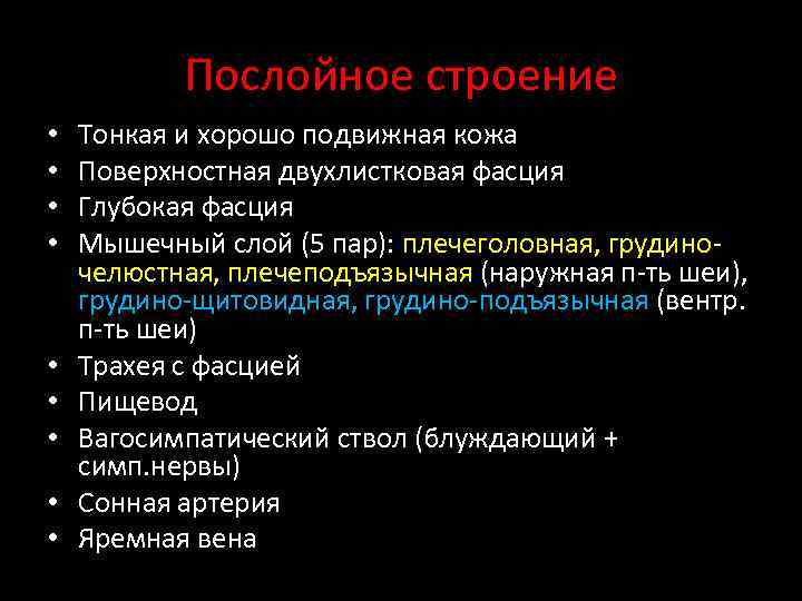 Послойное строение • • • Тонкая и хорошо подвижная кожа Поверхностная двухлистковая фасция Глубокая