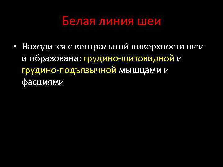 Белая линия шеи • Находится с вентральной поверхности шеи и образована: грудино щитовидной и