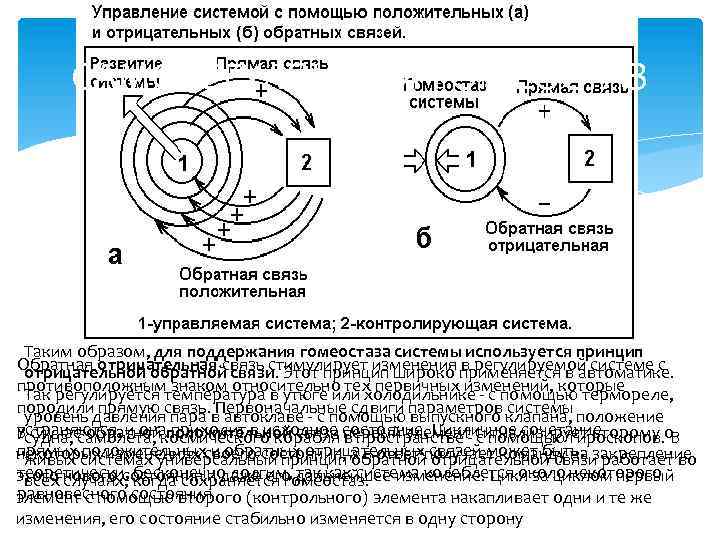 САМОРЕГУЛЯЦИЯ И ГОМЕОСТАЗ Таким образом, для поддержания гомеостаза системы используется принцип Обратная отрицательная связь