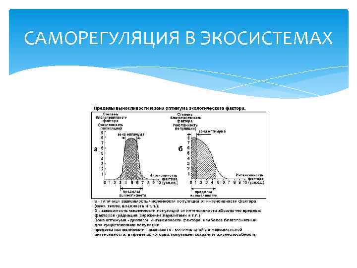 САМОРЕГУЛЯЦИЯ В ЭКОСИСТЕМАХ 