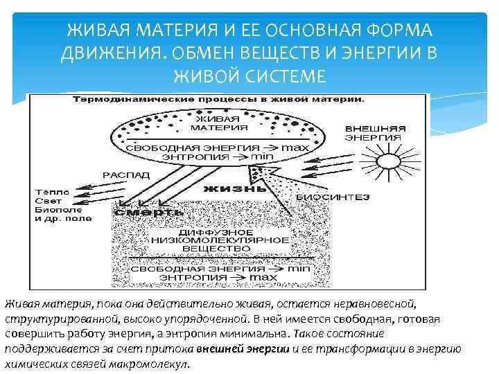 Система живой материи