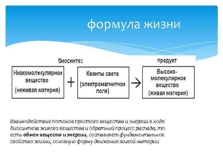 формула жизни Взаимодействие потоков простого вещества и энергии в ходе биосинтеза живого вещества и