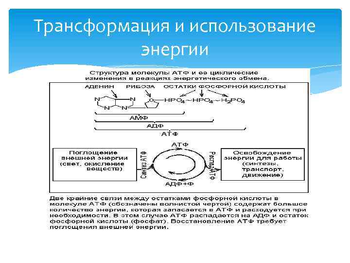 Трансформация и использование энергии 