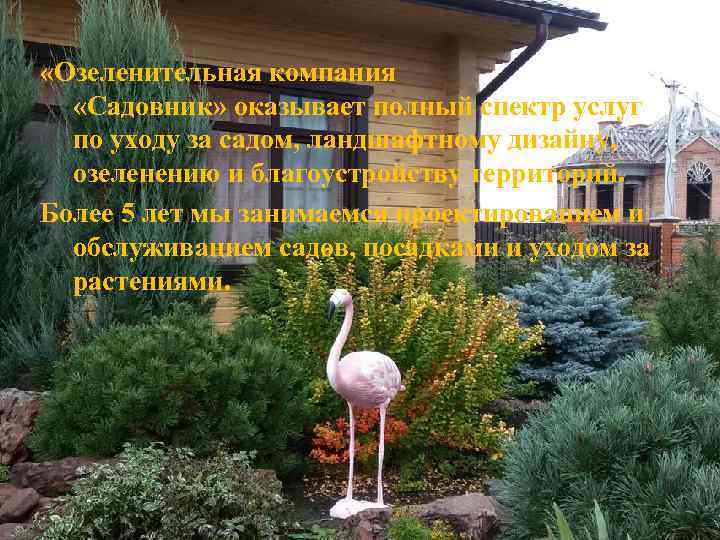  «Озеленительная компания «Садовник» оказывает полный спектр услуг по уходу за садом, ландшафтному дизайну,