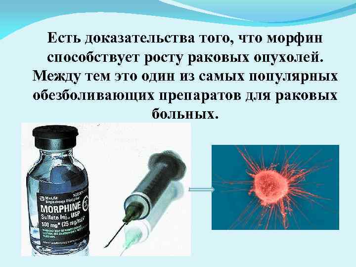 Есть доказательства того, что морфин способствует росту раковых опухолей. Между тем это один из