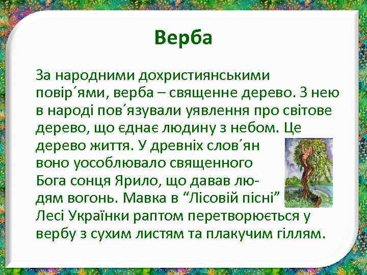 Верба За народними дохристиянськими повір´ями, верба – священне дерево. З нею в народі пов´язували