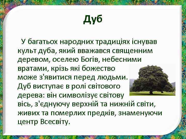 Дуб У багатьох народних традиціях існував культ дуба, який вважався священним деревом, оселею Богів,