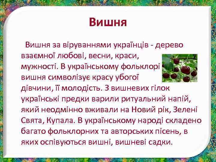 Вишня за віруваннями українців - дерево взаємної любові, весни, краси, мужності. В українському фольклорі