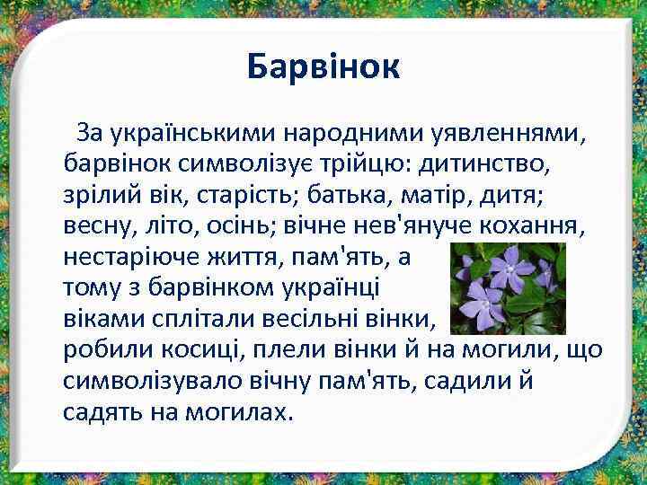 Барвінок За українськими народними уявленнями, барвінок символізує трійцю: дитинство, зрілий вік, старість; батька, матір,