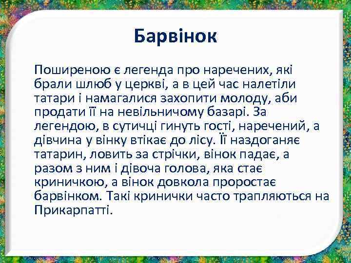 Барвінок Поширеною є легенда про наречених, які брали шлюб у церкві, а в цей
