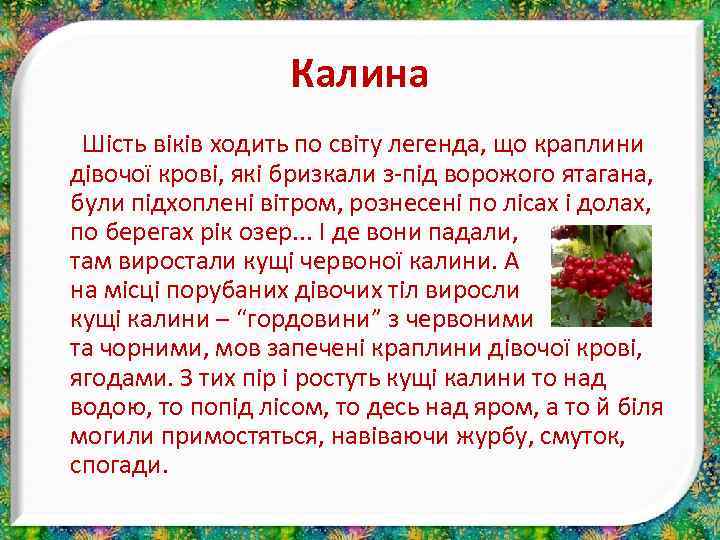 Калина Шість віків ходить по світу легенда, що краплини дівочої крові, які бризкали з-під