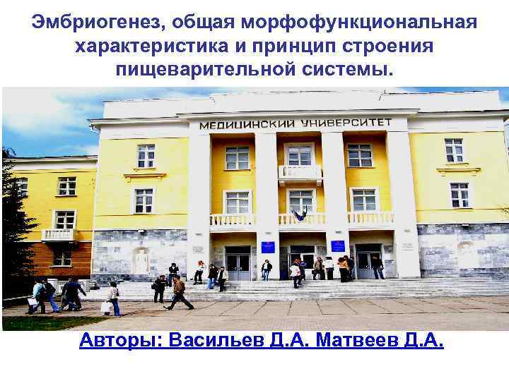 Эмбриогенез, общая морфофункциональная характеристика и принцип строения пищеварительной системы. Авторы: Васильев Д. А. Матвеев