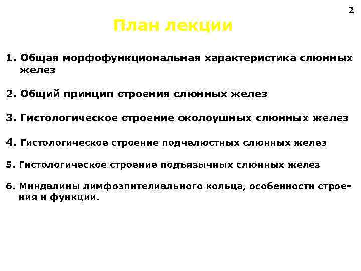 План лекции 2 1. Общая морфофункциональная характеристика слюнных желез 2. Общий принцип строения слюнных