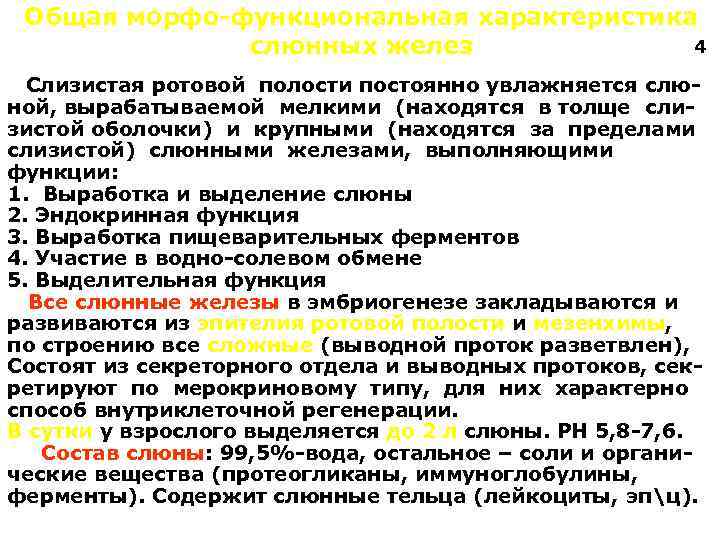 Общая морфо-функциональная характеристика 4 слюнных желез Слизистая ротовой полости постоянно увлажняется слюной, вырабатываемой мелкими