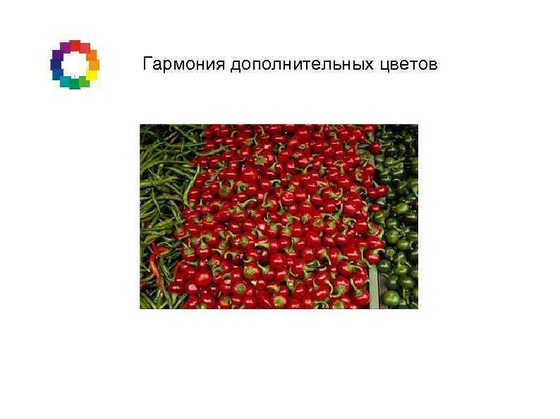 Гармония дополнительных цветов 