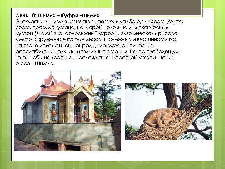День 10: Шимла – Куфри –Шимла Экскурсии в Шимле включают: поездку в Калба Деви