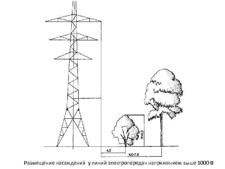 Размещение насаждений у линий электропередач напряжением выше 1000 В 