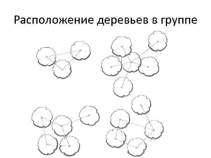 Расположение деревьев в группе 