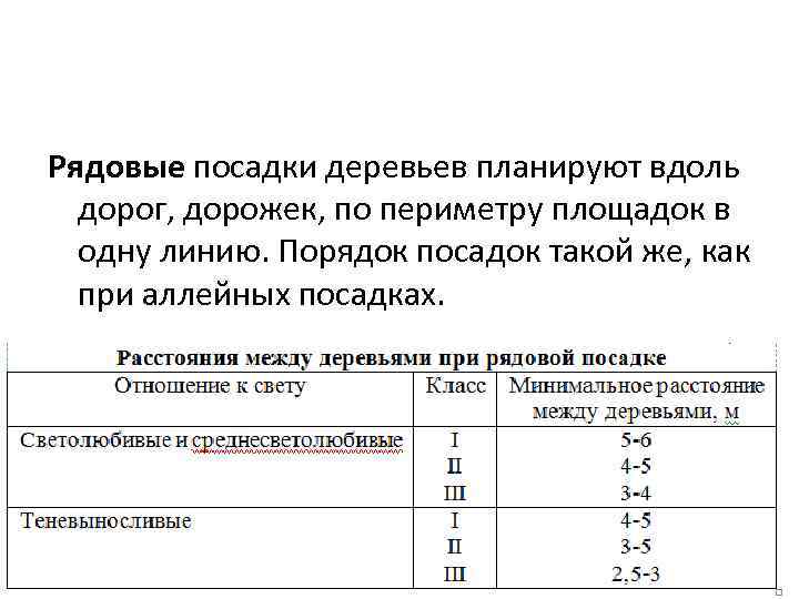 Рядовые посадки деревьев планируют вдоль дорог, дорожек, по периметру площадок в одну линию. Порядок