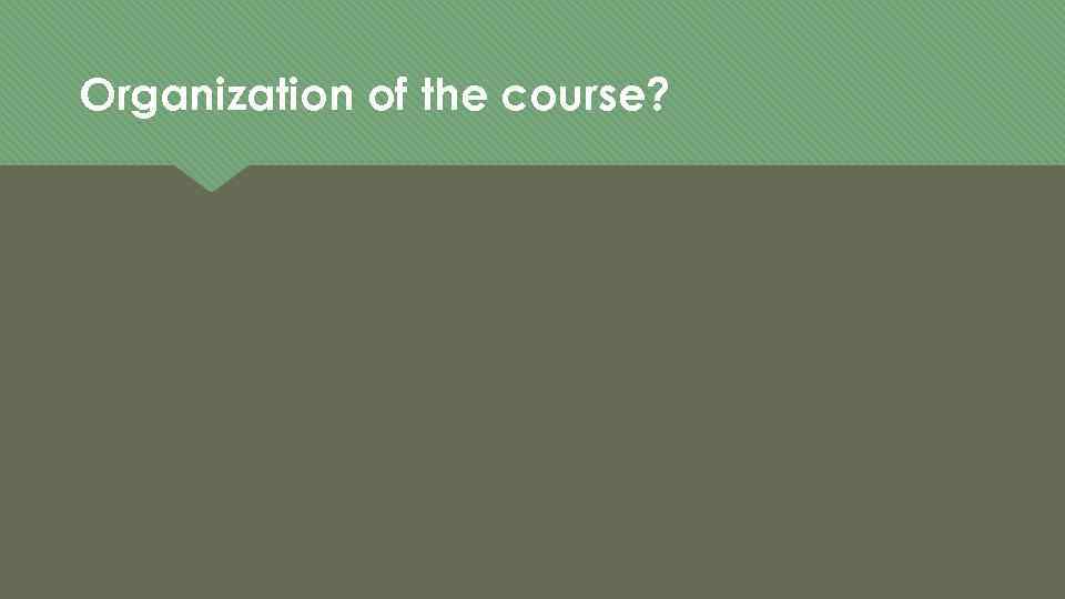 Organization of the course? 