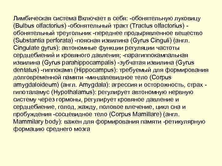 Лимбическая система Включает в себя: обонятельную луковицу (Bulbus olfactorius) обонятельный тракт (Tractus olfactorius) обонятельный