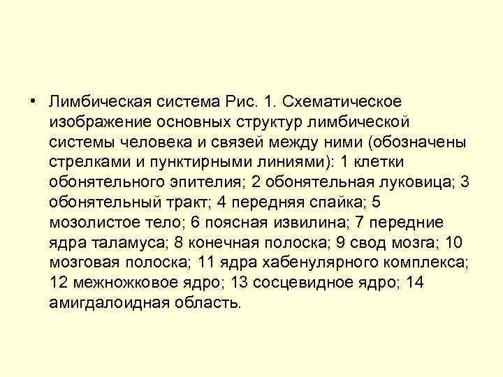  • Лимбическая система Рис. 1. Схематическое изображение основных структур лимбической системы человека и