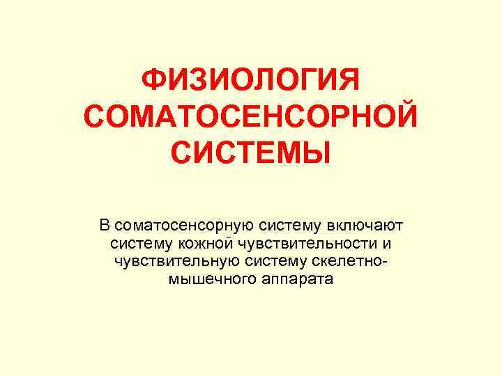 ФИЗИОЛОГИЯ СОМАТОСЕНСОРНОЙ СИСТЕМЫ В соматосенсорную систему включают систему кожной чувствительности и чувствительную систему скелетно